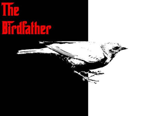 The Birdfather